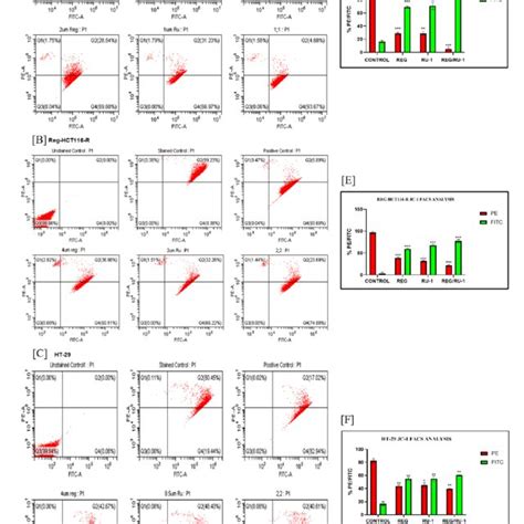 Quantitative Analysis Of Mitochondrial Membrane Potential Loss Mmp