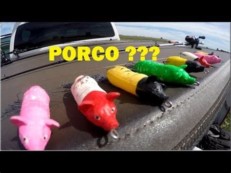 PORCO nas TRAÍRAS Bacon Bait Pepa Fishing O porquinho YouTube