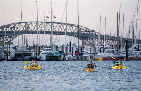 Tours Auckland Sea Kayaks