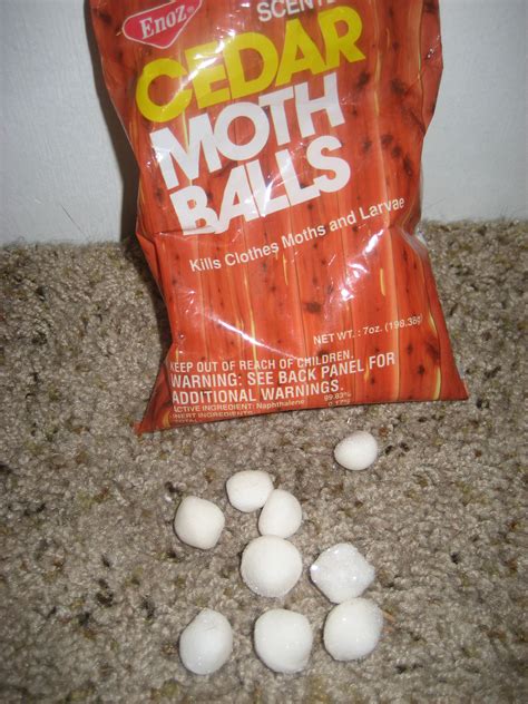 Mothballs and Cats, Mothballs and Dogs - Mothball Toxicity