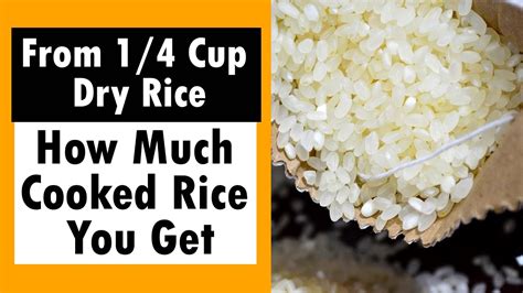 How Much Cooked Rice You Get From 1 4 Cup Dry Rice YouTube