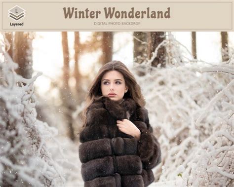 Winter Wonderland Backdrop - Photography World