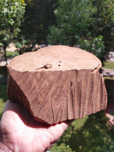 Raw Sandalwood Kayu Cendana Hobbies Toys Memorabilia