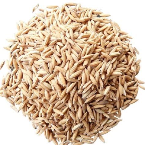 100 Pure And Naturally Grown Dried Long Grain Paddy Rice At Best Price