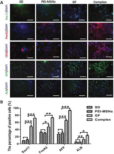 Immunofluorescence And Flow Cytometry Analysis Of The Cellular