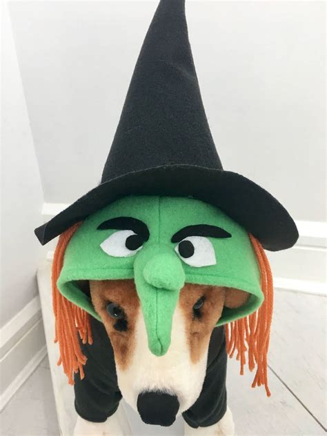 Witch Costume Dog Halloween Costume Dog Witch Costume Pet - Etsy