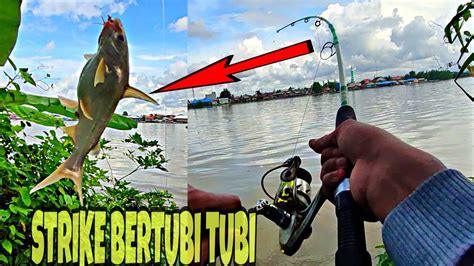 Full Video Strike Bertubi Tubi Disungai Berau YouTube