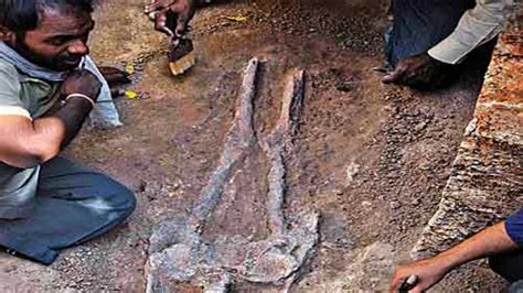 4000 Year Old Human Skeleton Found In Odisha