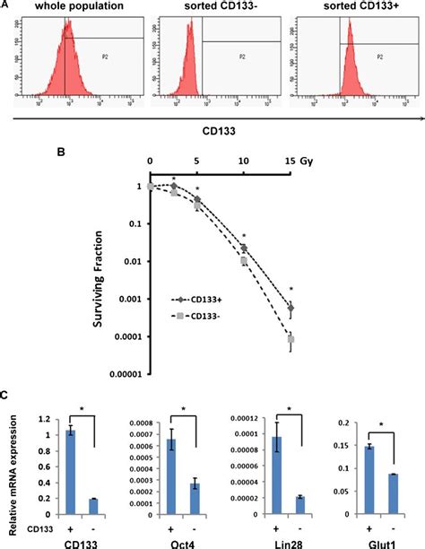 Radiosensitivity And Gene Expression Of Cd133 And Cd133− Populations