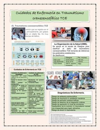 Infograf A En Pacientes Con Traumatismo Craneoencef Lico Tce Pdf