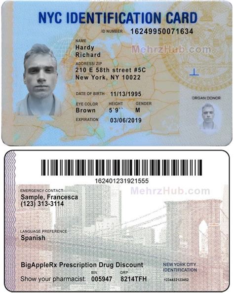 Editable Usa Id Card Psd Template Mehrzhub