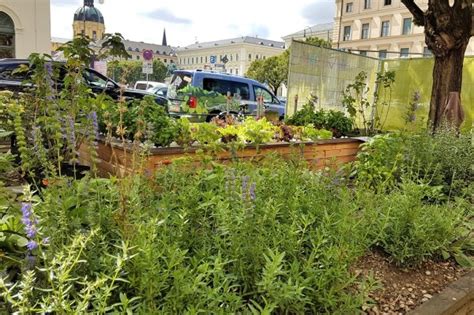 Urban Gardening Demonstrationsgarten Der Bayerischen Landesanstalt F R