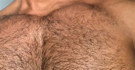 Suvacos E Salivas De Macho N S Que Amamos Um Peito Peludo