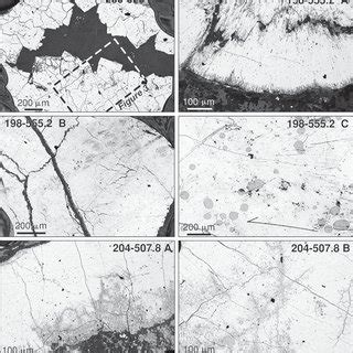 Refl Ected Light Photomicrographs Illustrating The Variety Of