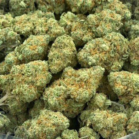 Green Crack Weed Buy Green Crack Weed From Bud Dispensary