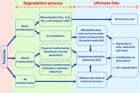 Fate Of Pesticides And Their Degraded Compounds In The Environment