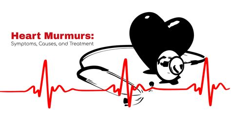 Heart Murmur Symptoms Causes And Treatment Stat Cardiologist