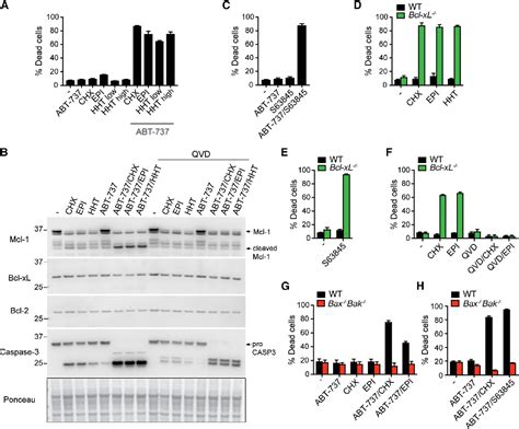 Figure From The Mitochondrial Apopto Tic Effectors Bax Bak Activate