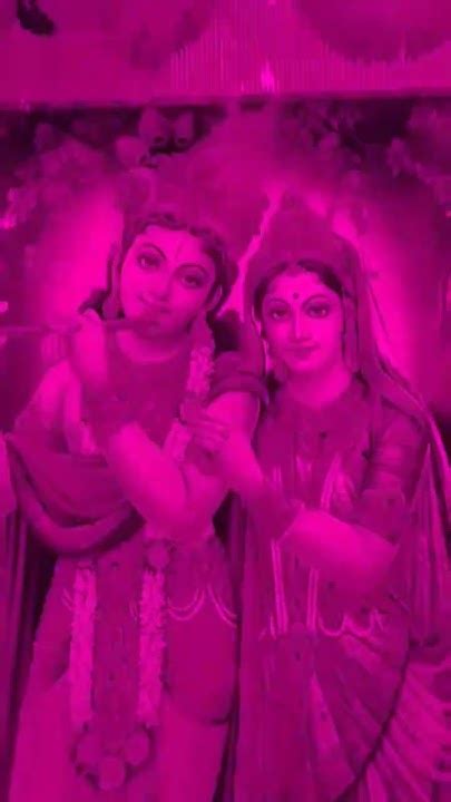 Mera Network Nand Kishor Jay Shri Krishna Youtube