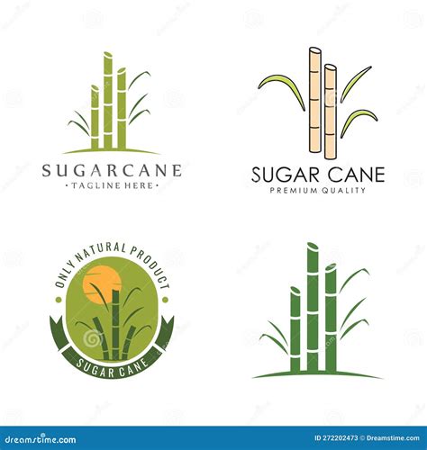 Natural Sweet Sugar Cane Plant Logo Template Stock Vector