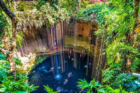 Los Mejores Cenotes De Riviera Maya