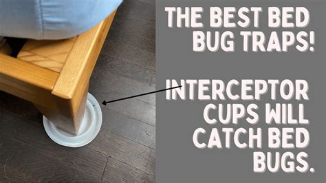 The Best Bed Bug Traps For 2024 Reviewed And Tested