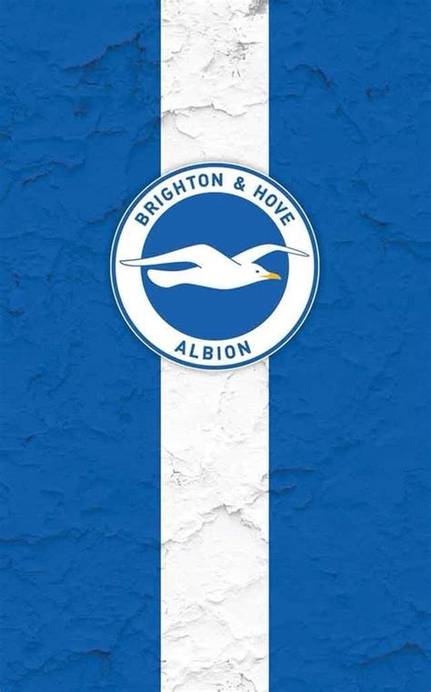 Brighton & Hove Albion wallpaper. | Brighton & hove albion, Brighton ...