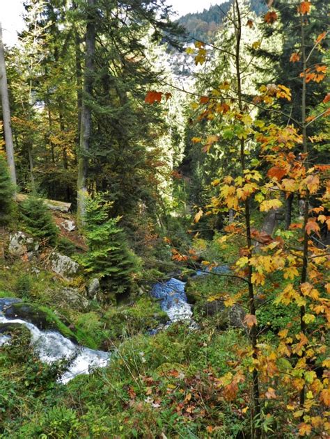 Triberger Waterfall Triberg All You Need To Know Before You Go