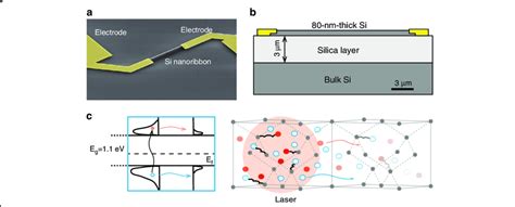 False Color Scanning Electron Microscopy Image Structural Diagram Of