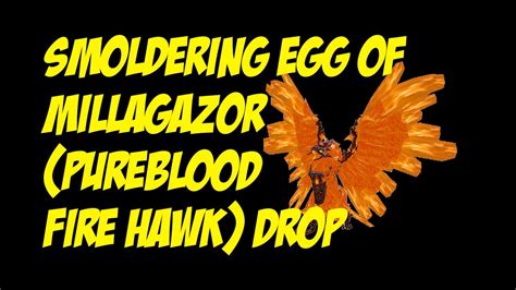 Smoldering Egg Of Millagazor Pureblood Fire Hawk YouTube