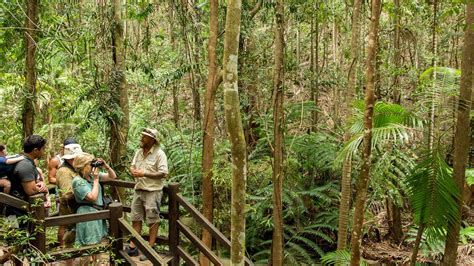 K'gari (Fraser Island) Tours with Kingfisher Bay Resort | Visit Fraser ...