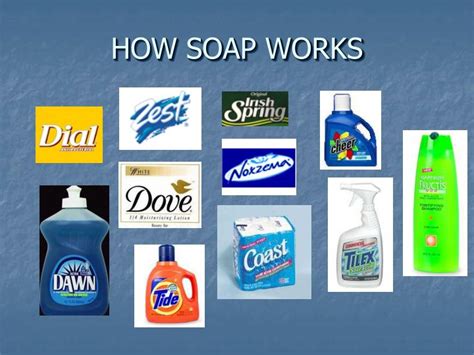 Ppt How Soap Works Powerpoint Presentation Free Download Id1114540