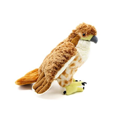 Red Tailed Hawk Plush By Wild Republic Ram Shop