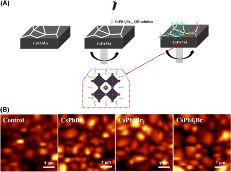 A Schematic Illustration Of Csfama Perovskite Via Quantum Dots