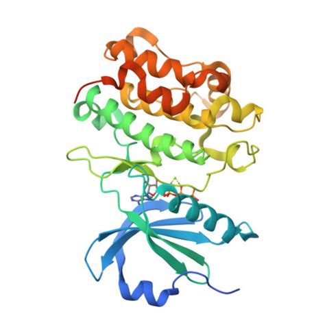 RCSB PDB 7Q7E Room Temperature Structure Of The Human Serine