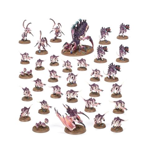 Set Introduttivo Definitivo Di Warhammer Miniset Net