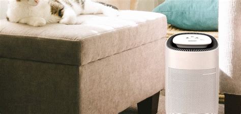 Best Dehumidifier and Air Purifier (Review) in 2021 – Top 5 Picks!