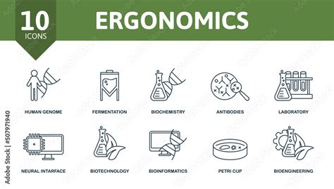 Ergonomics set icon. Editable icons ergonomics theme such as human ...