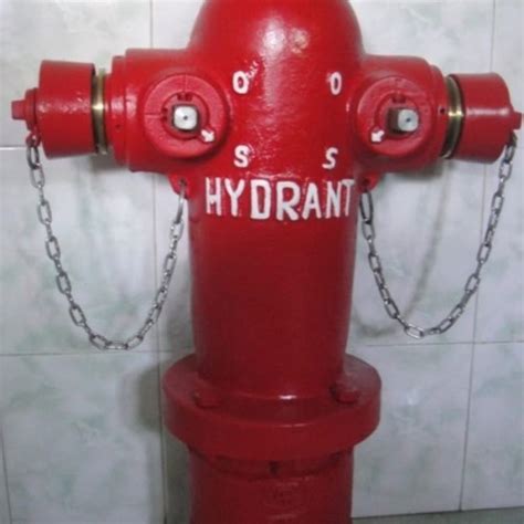 Jual Hydrant Pillar Two Way 4 2 5 2 5 Machino Coupling Jakarta