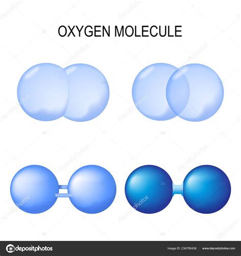 Molecular Form Of Oxygen Ppgbbe Intranet Biologia Ufrj Br