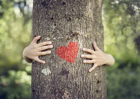 Cinque Piccole Azioni per Rispettare l Ambiente I Consigli di Vallé