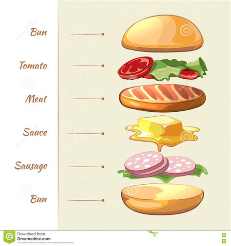 汉堡包成份 传染媒介infographics 向量例证 插画 包括有 正餐 贝多芬 巴西 要素 钞票 71278024