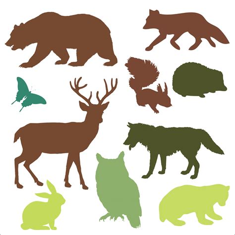 Animals Of The Forest Free Stock Photo Public Domain Pictures