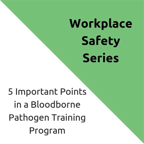 5 Important Points In A Bloodborne Pathogen Training Program