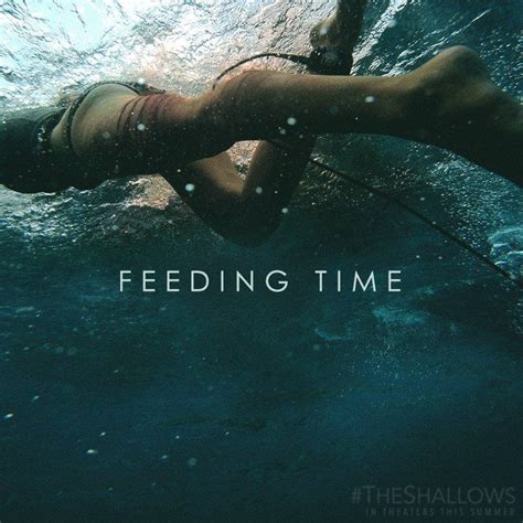 Image Gallery For The Shallows Filmaffinity