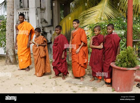 Monks At Gangarama Mahavihara Buddhist Temple Hikkaduwa Sri Lanka