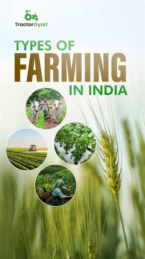 Types Of Farming In India Tractorgyan