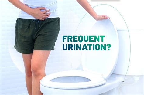 Frequent Urination In Human Symptoms Causes And Treatment By Find A