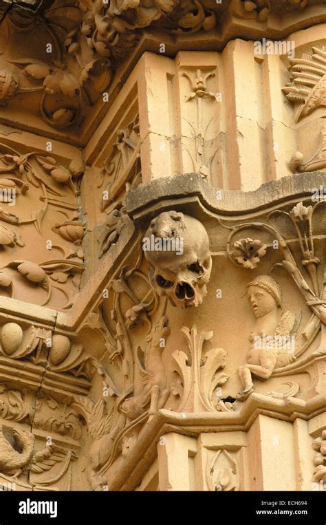 Salamanca University Facade Skull Hi Res Stock Photography And Images