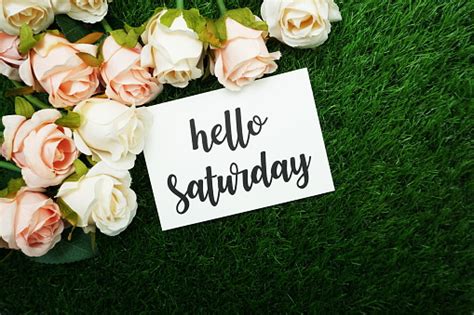 Hello Saturday Card And Roses Flower With Space Copy Background Stock